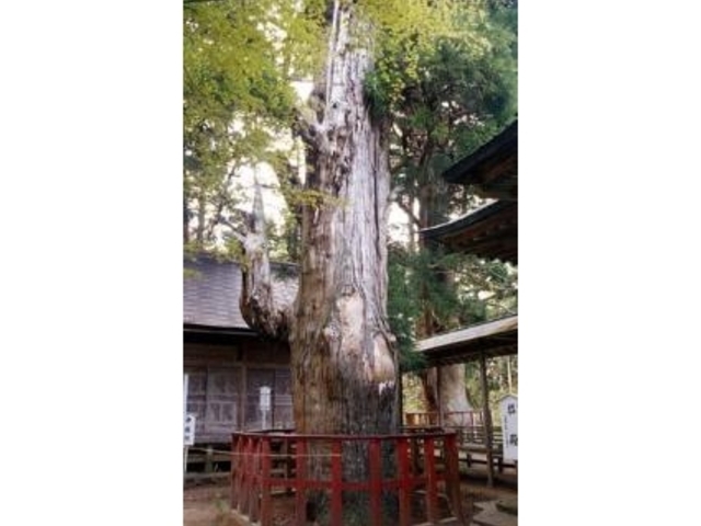 �o�Ďs�̉W���̎ʐ^1