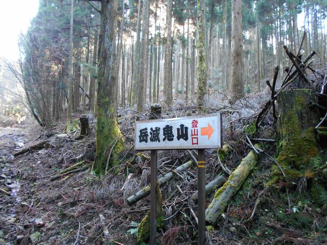 �x�ŋS�R�̎ʐ^1