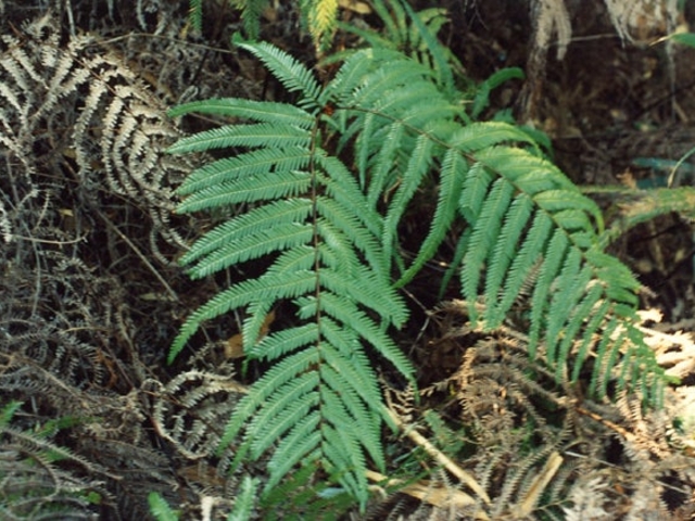 �J�l�R�V�_