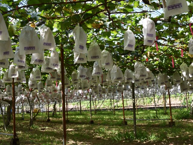 ���H�q�ό��_��