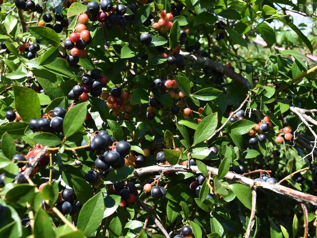 ���H�q�ό��_��