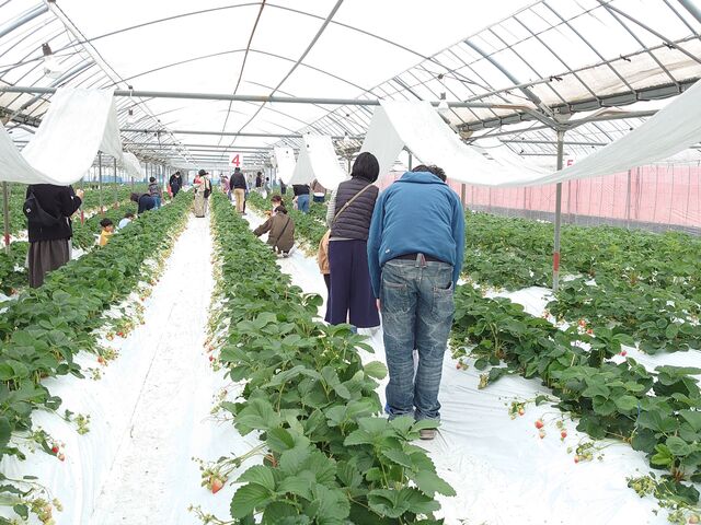 ���H�q�ό��_��