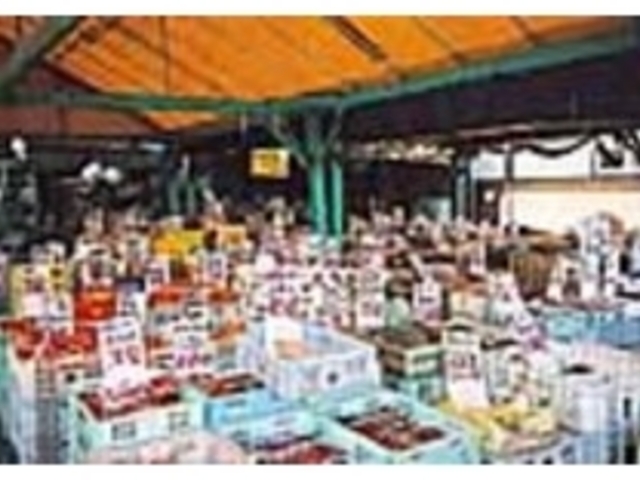 ���u�n�����������V�N�Ȗ�؂�̔�_���̉w �ق����傤