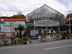 �ό��������̉Ԃ���̎ʐ^1