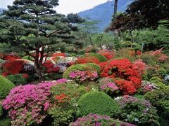 �H�����̃c�c�W�̎ʐ^1