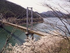 �㓪�����{���̎ʐ^1