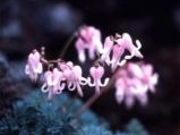 ���܂������̂��܂����̎ʐ^1