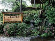 ���a�����̎ʐ^1