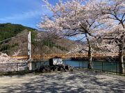 �㓪�����{������̎ʐ^2