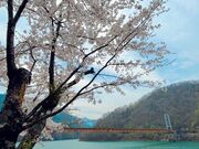 �㓪�����{������̎ʐ^3