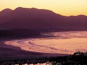 ���l�C�݂̎ʐ^1