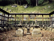 ���c�M���̕�̎ʐ^1