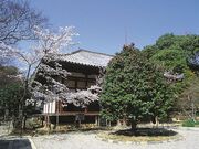 ���|���̌ܐF�ւ̎ʐ^1