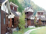 �ΐ����̎ʐ^1