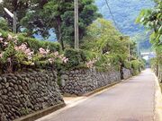 ���[���Ɖ��~�ʂ�̎ʐ^1