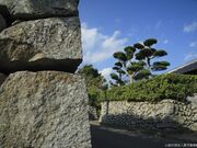 ���[���Ɖ��~�ʂ�̎ʐ^2