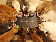 �L�܂�J�t�F�̎ʐ^1