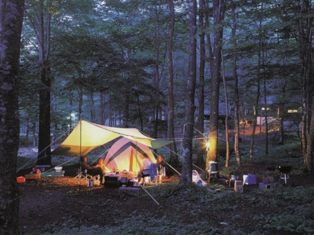 ���P��ӂ邳�Ƃ̐X