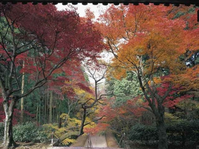 �������̍g�t_�������̍g�t