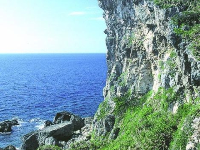 ���C�K�[�f�R