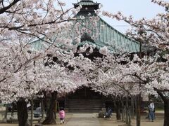 ��t���̍��̎ʐ^1