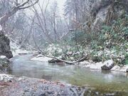 �ʐ�k�J�̎ʐ^2