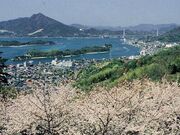 ���������̍��̎ʐ^1