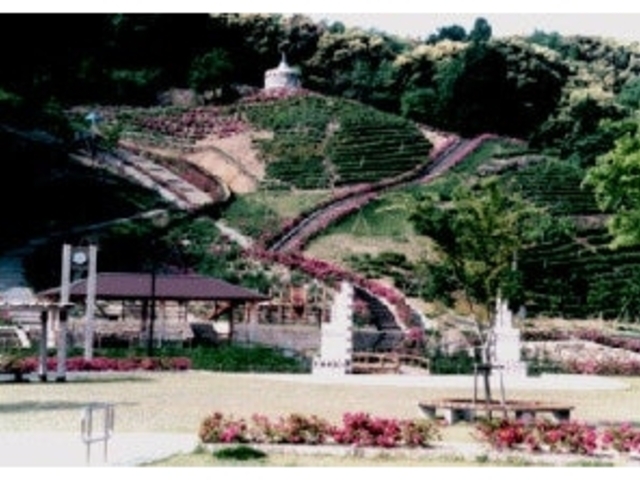 �䂤�䂤���ǂ̎ʐ^1