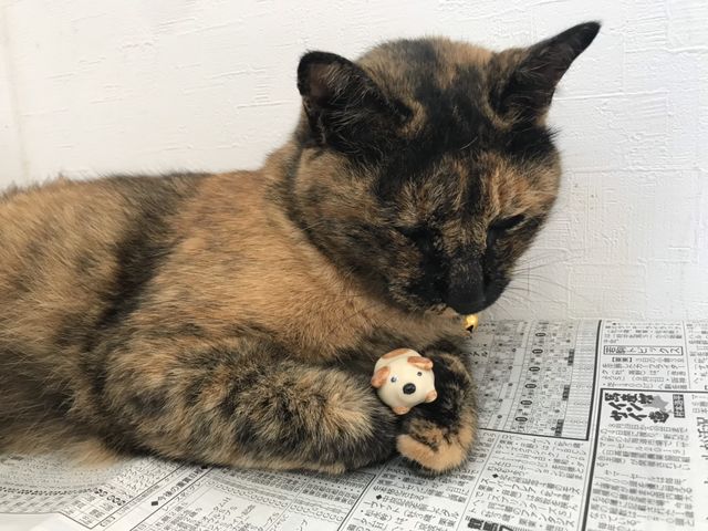 ��t�ɏ����L�̉Ԃ���񂪂��}�����Ă���邱�Ƃ�����܂��B_�ό��_���ԂЂ��