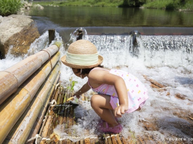 ���Ǌό���Ȃ̎ʐ^1