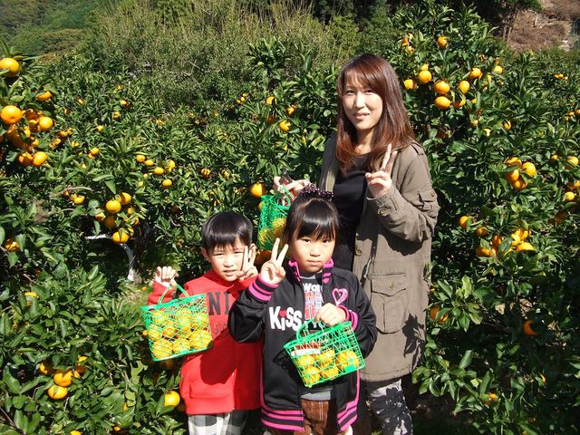 �e�q�A��_�Ȃ���������