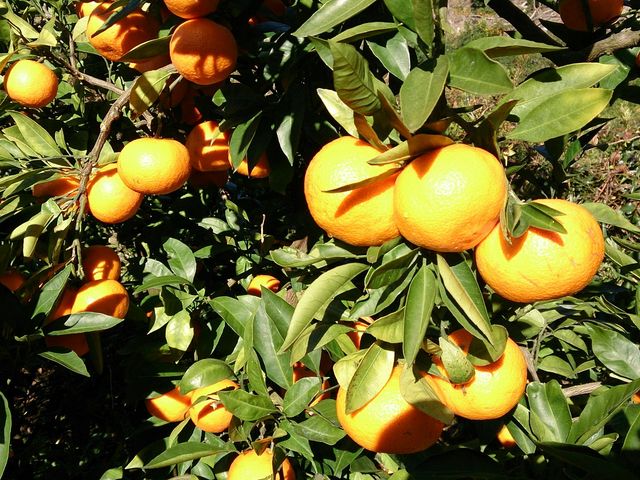 ���������݂���ł�_�Ȃ���������