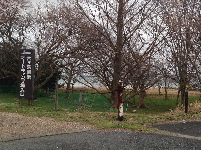 �Z�c���l�I�[�g�L�����v��