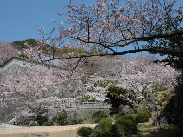 ���鎛�̍��̎ʐ^1