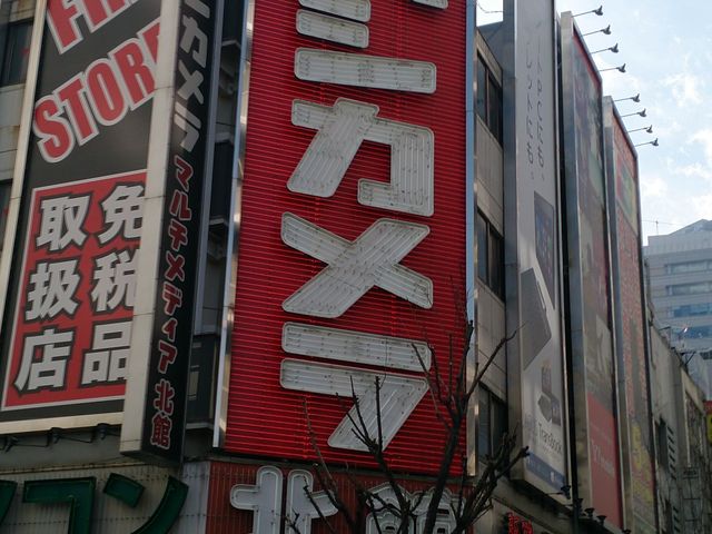 ���h�o�V�J���������{�X