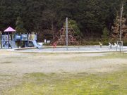 �e�R�����̎ʐ^1