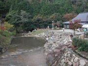 �V���̗��̎ʐ^1