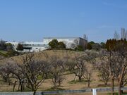 �΃P�J�����̔~�̎ʐ^2