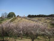 �΃P�J�����̔~�̎ʐ^1