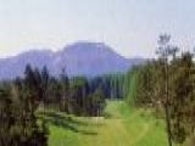 �]���J���g���[�N���u�̎ʐ^1