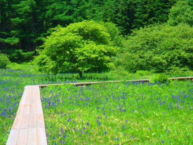 �P�E����