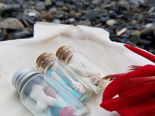 �V�[�O���X�~�j�{�g��(�V�[�O���X�G�ݐ���̌�)_�����O���X�{�[�g