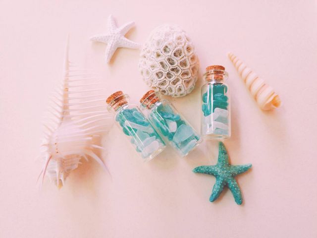 �V�[�O���X�~�j�{�g��(�V�[�O���X�G�ݐ���̌�)_�����O���X�{�[�g