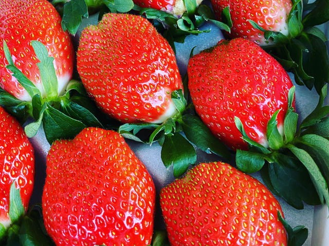 �ʎ��̗��@���c�_��