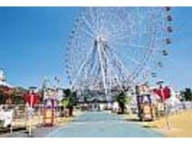 ���ꗿ�������Ƃ����̂��������|�C���g�I_���É��`�V�[�g���C�������h