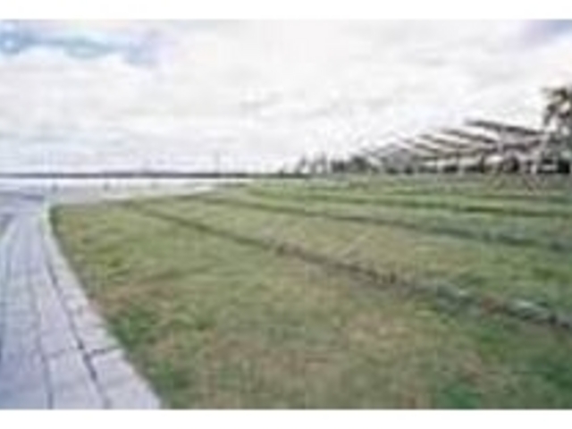 �x���`�ɍ����Ē��߂���i�΂͗Y��Ŕ�����_��ÌΊ݂Ȃ�������