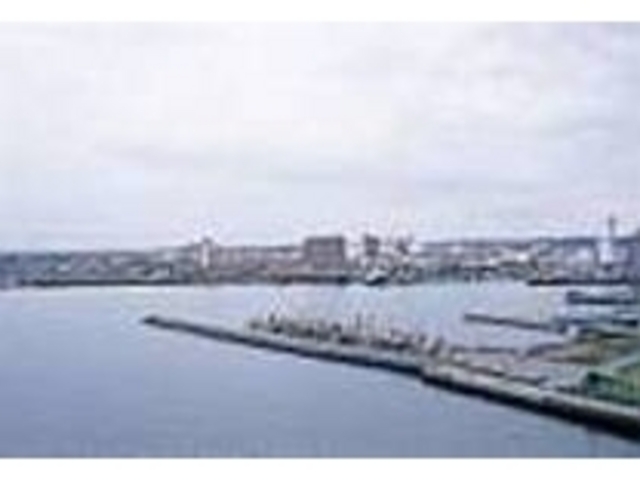 ���̒��ォ��͖؍X�Îs�X����]�ł���_���̓��勴