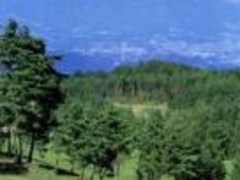 �]�����\���S���t�N���u�̎ʐ^1