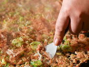 ���D�ݏ� �S�� ���񂶂�� ���� ���� �����X�̎ʐ^1