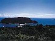 ���x�W�]��̎ʐ^1